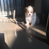 豆友225069885