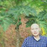 小鱼他爸