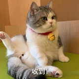 迪迪迪迪