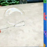 阳光