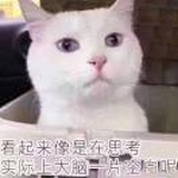 流水有期