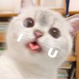 Catydhhhsh