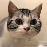 俈申