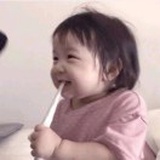拾陆