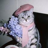 大知闲闲🥝🥝