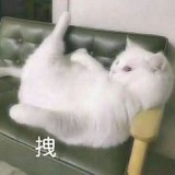 我嫌你发光费电