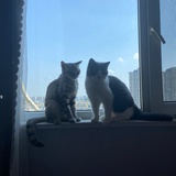 豆友225390093