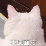 学了吗（发疯版