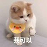 橘子海