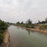 佛系愤青
