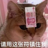 脑袋空空心也空