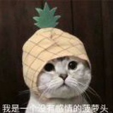 卡卡果果吃瓜…