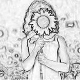 太阳香气