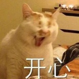 抓阄人i玄学