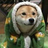 积极废人.