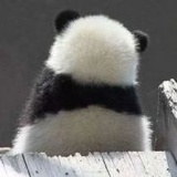 南溪淙呗