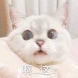 小氕小氕