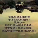 皮卡丘