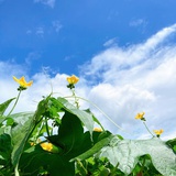 满船清梦压星河