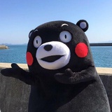 你看我凉吗？