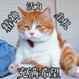 养猪王者