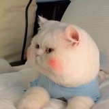 肚子咕咕