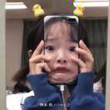 乔木