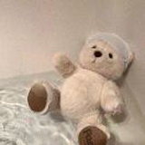 赤小豆儿