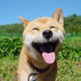 匹か诺曹