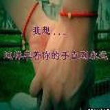 斑马斑马