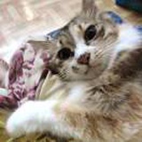  小光