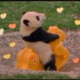 小陈今天健身了