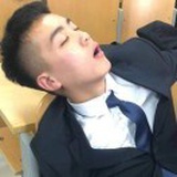 飞星不冻