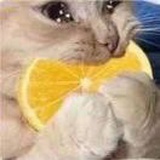 🍋阿财的妈咪🍋