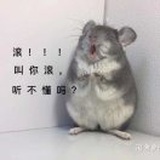 小诗啦啦啦