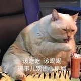 言之有理