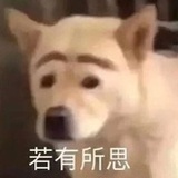 无信号