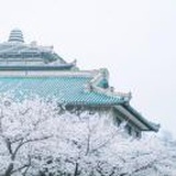fire终将实现
