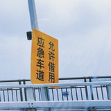 飛飛魚不說話