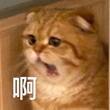 啊！！