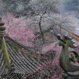 安隐