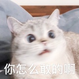 妮在胡说些什么
