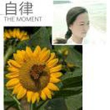 加菲猫