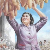 奋斗的小刘
