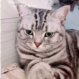 豆友226406767