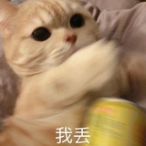 泠北清