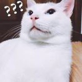 香克斯         