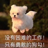 今天也熬夜了呢