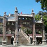 常春