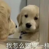 不想起名